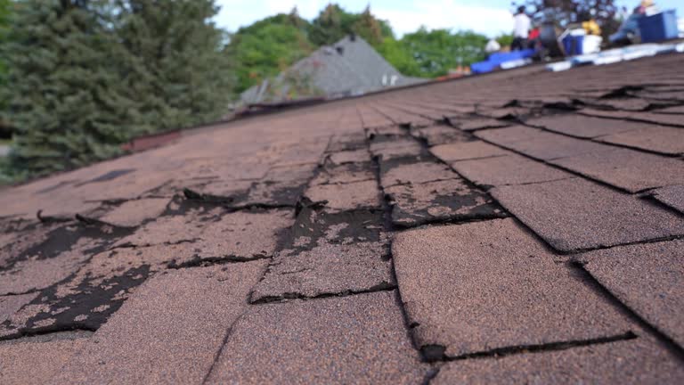 Best Asphalt Shingle Roofing  in Penn Wynne, PA